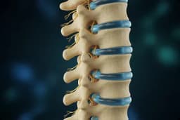 News How modern healthcare lost standardized spine diagnosis Jason Francisco